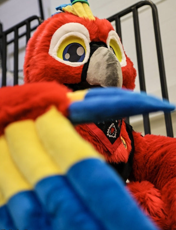 Macaw Full Partial Fursuit Premade - Furbellion 2026
