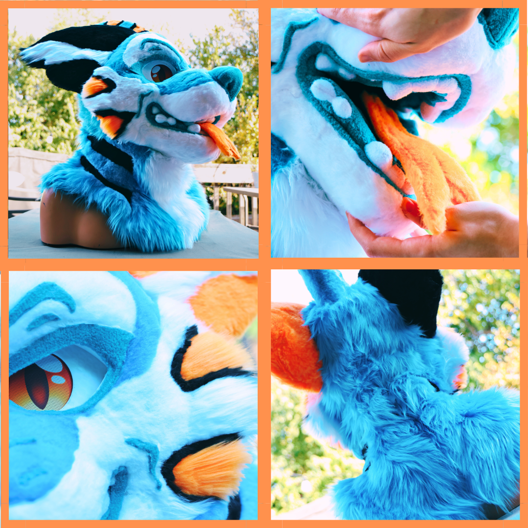 Captain the Canid Tiger-Shark