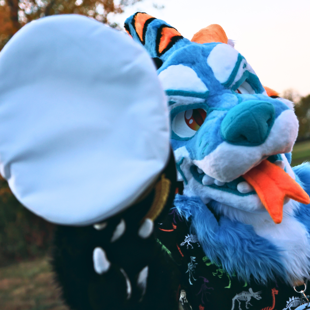 Captain the Canid Tiger-Shark