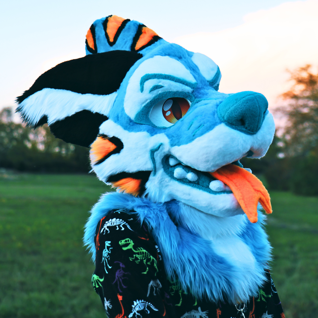 Captain the Canid Tiger-Shark