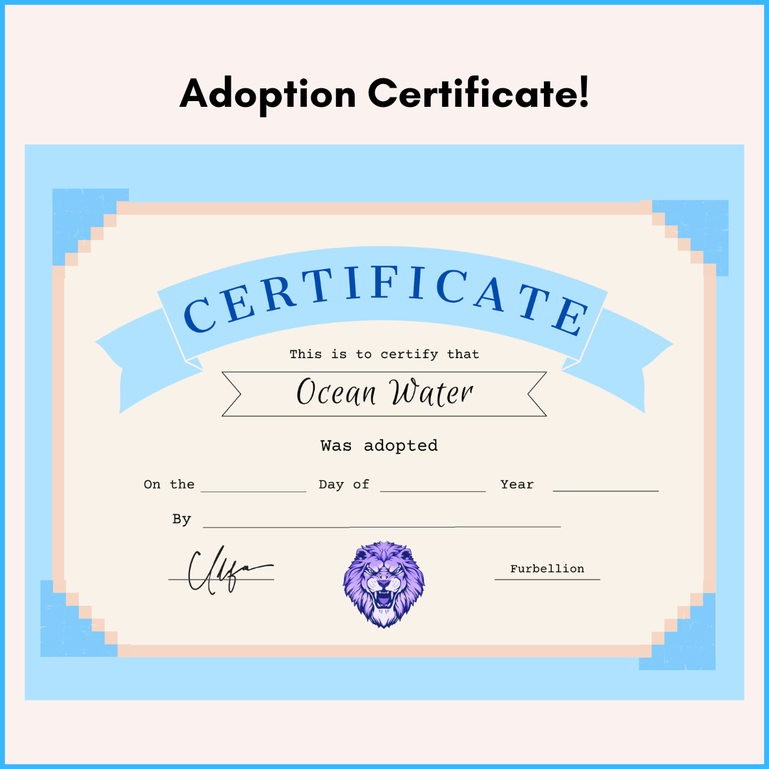 Ocean Water Dutchie Adopt - Furbellion