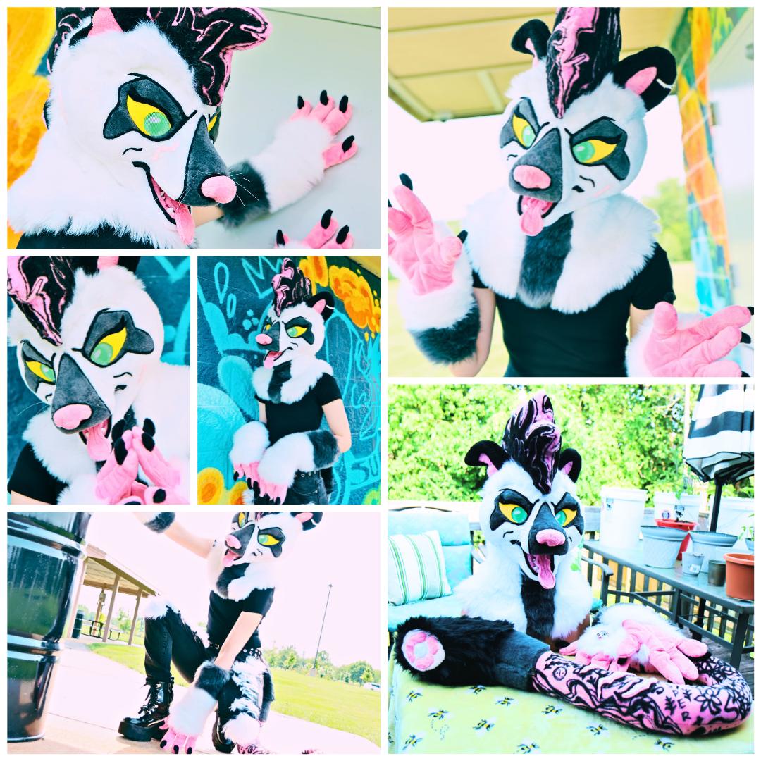Queen the Punk Opossum