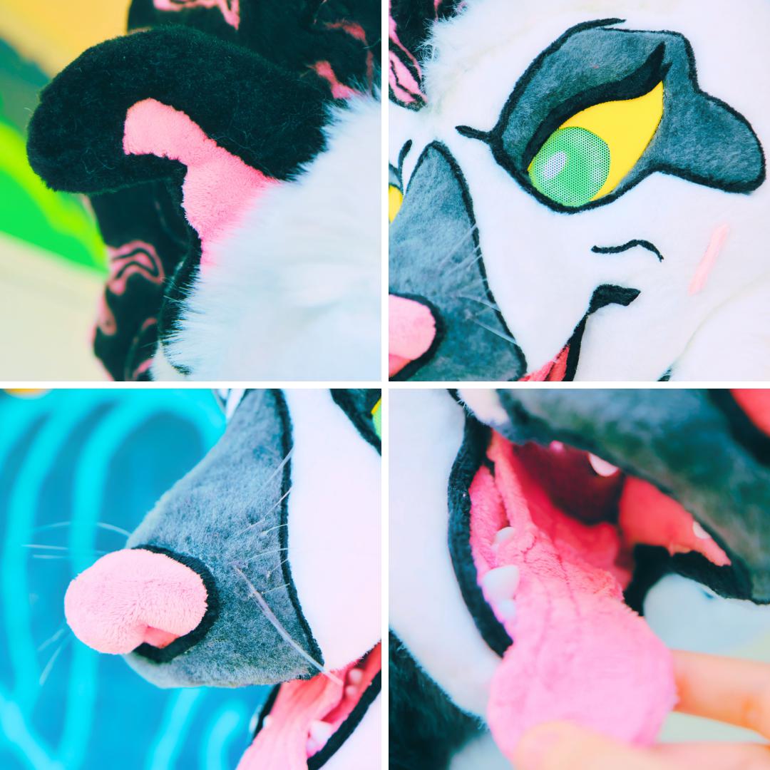Queen the Punk Opossum